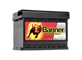 Аккумулятор 60Ач "BANNER" О.П. 242х175х175 Низкий