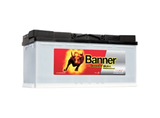 Аккумулятор 100Ач "BANNER PRO" О.П. 353х175х190