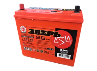 Аккумулятор 58Ач "ЗВЕРЬ ASIA" П.П. 238х129х220